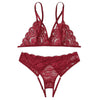 Sexy Lingerie Transparent Underwear Set